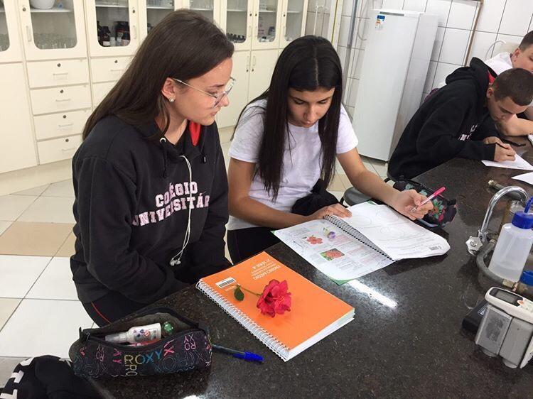 Confira como foi a aula prática dos alunos do 2º Ano do Ensino Médio