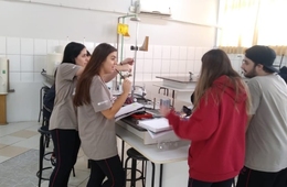 Física na prática